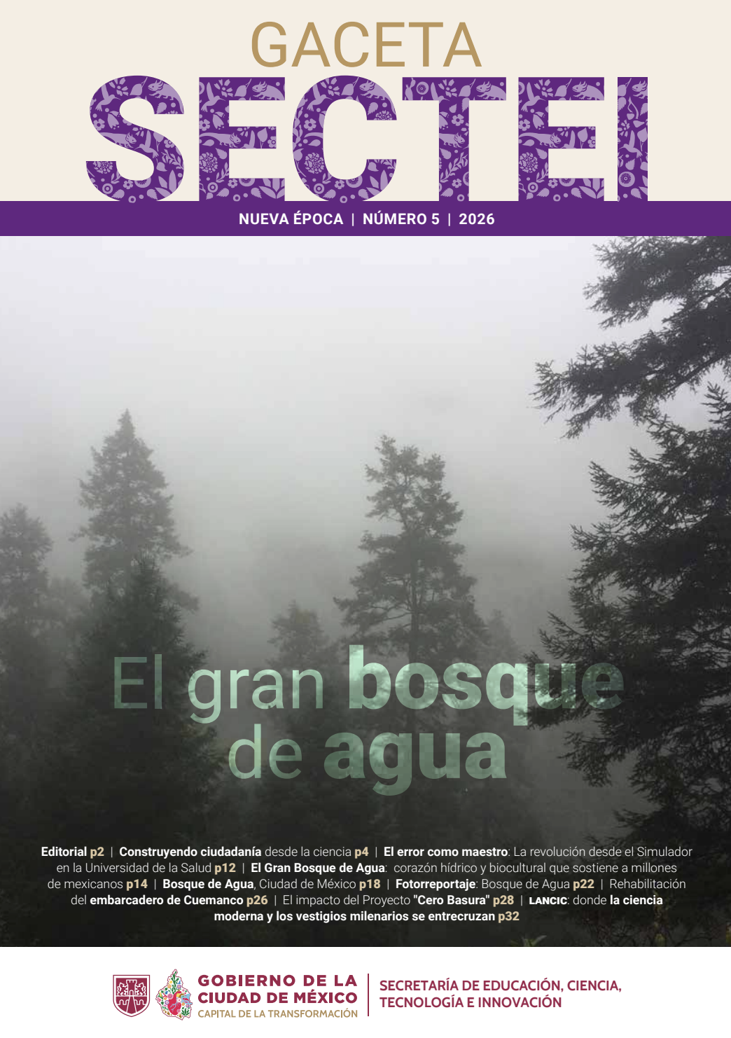 Edición #5 de Gaceta SECTEI (Gaceta SECTEI)