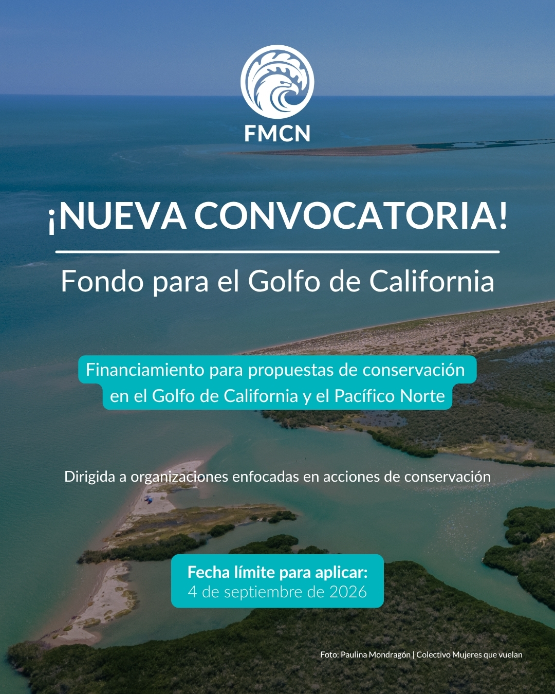 Convocatoria – Propuestas de conservación en el Golfo de California y el Pacífico Norte (FMCN)
