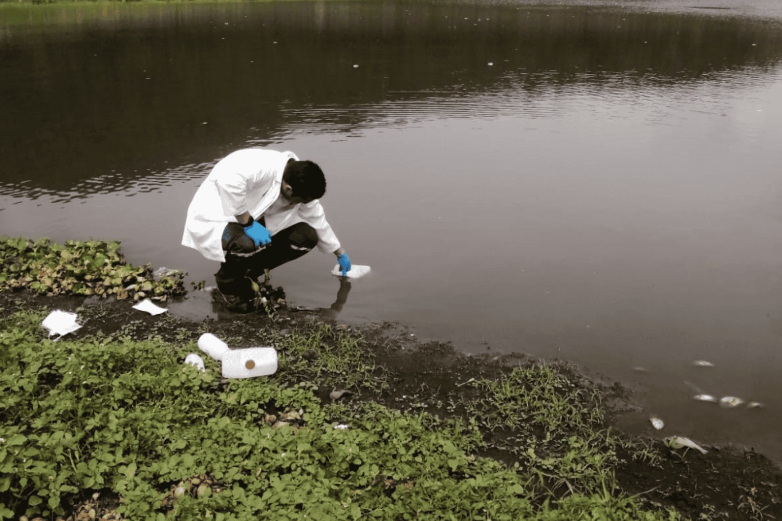 Querétaro – Conagua detecta fósforo y descargas químicas en la presa El Batán (Informe Queretano)