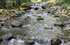 Veracruz – Colectivo ambiental reúne más de 3 mil firmas para exigir manejo responsable del agua del río Pixquiac (Diario de Xalapa)