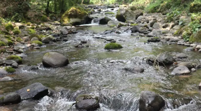 Veracruz – Colectivo ambiental reúne más de 3 mil firmas para exigir manejo responsable del agua del río Pixquiac (Diario de Xalapa)