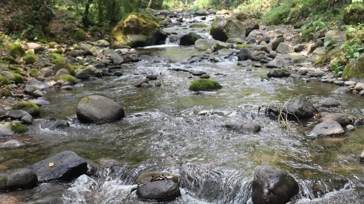 Veracruz – Colectivo ambiental reúne más de 3 mil firmas para exigir manejo responsable del agua del río Pixquiac (Diario de Xalapa)