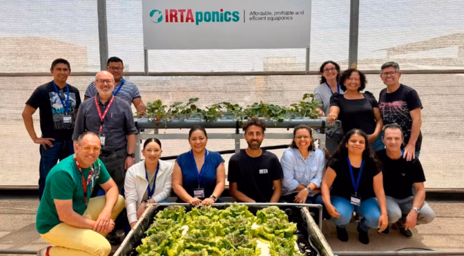 México – Conoce la RedASI y su innovador sistema de ahorro de agua en la producción de alimentos (La Crónica de Hoy)