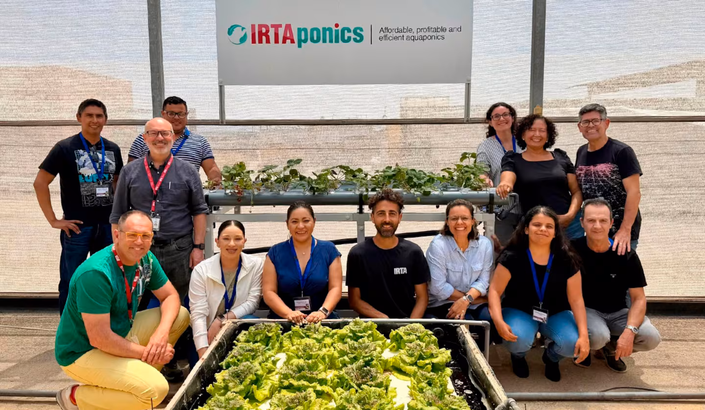 México – Conoce la RedASI y su innovador sistema de ahorro de agua en la producción de alimentos (La Crónica de Hoy)
