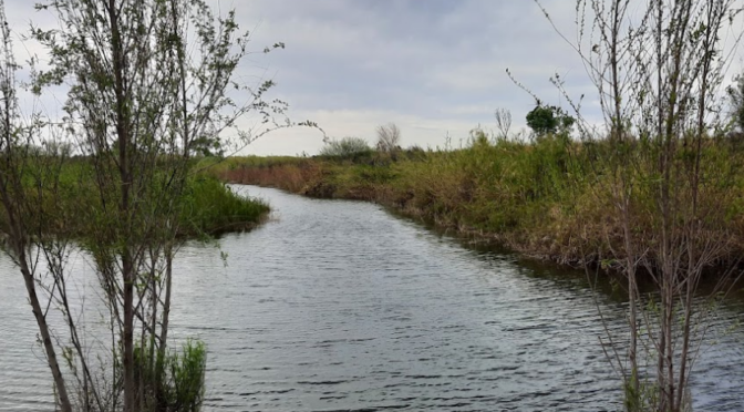 ¿Puede un río volver a la vida? La restauración del Río Colorado