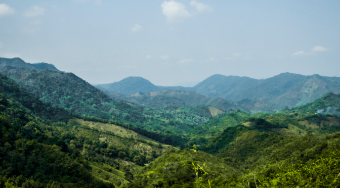 ¿Defender el territorio cuesta la vida? Una radiografía de los defensores ambientales en México