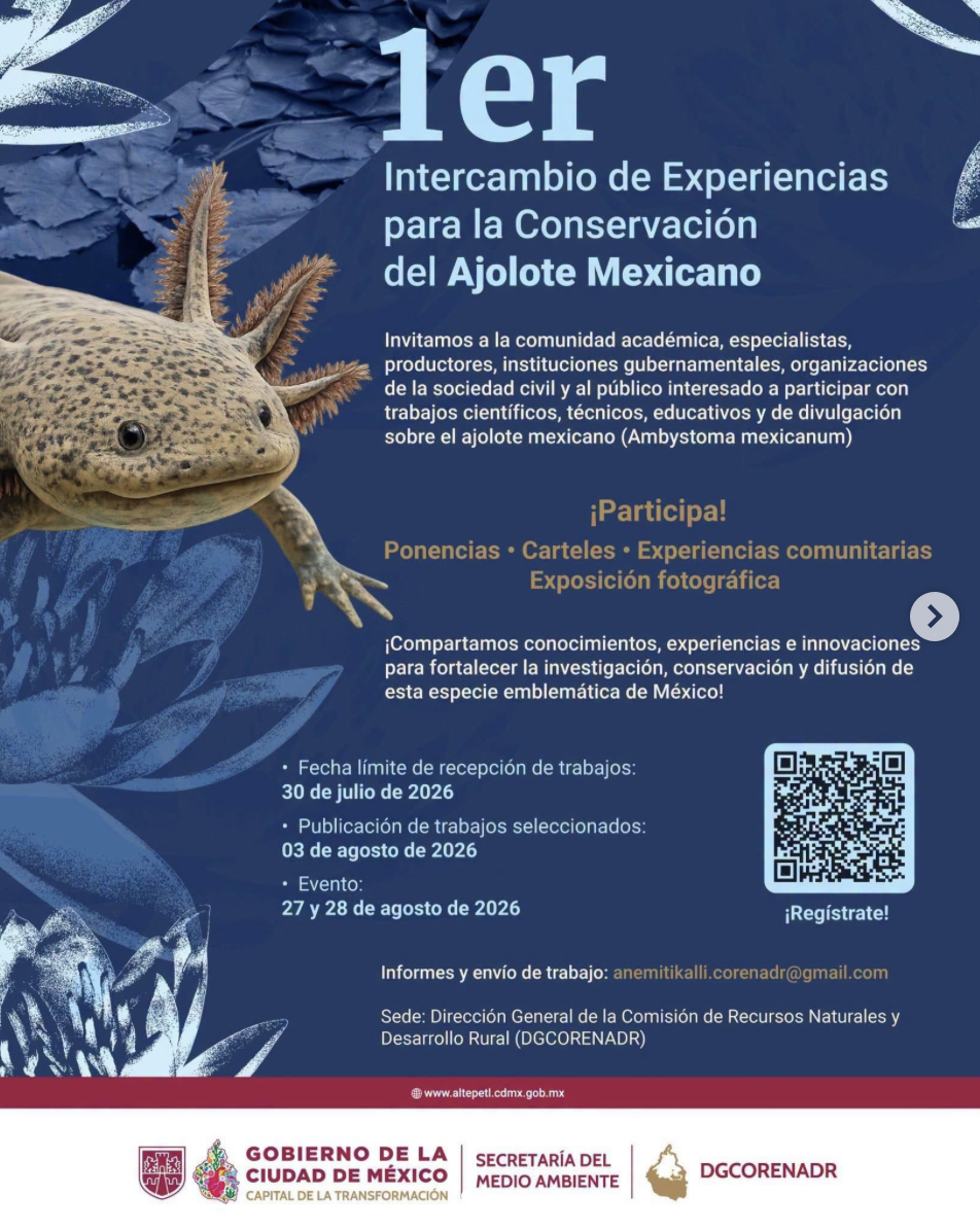 Convocatoria – 1er intercambio de experiencias para la conservación del Ajolote Mexicano (CORENADR)