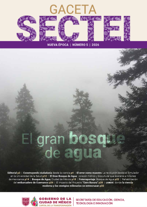 Edición #5 de Gaceta SECTEI (Gaceta SECTEI)