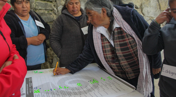 Estado de México – Guardianes del agua: la comunidad otomí de San Mateo Capulhuac avanza en la seguridad hídrica de la cuenca del Río Lerma (PNUD México)