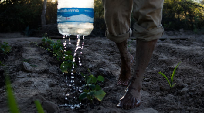 Mundo – Geopolítica de la sed: el agua como nuevo eje de la acumulación (Desinformémonos)