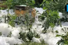 Puebla–Reaparece espuma tóxica en el río Atoyac; colectivos reclaman omisión a Agua de Puebla (El Popular)
