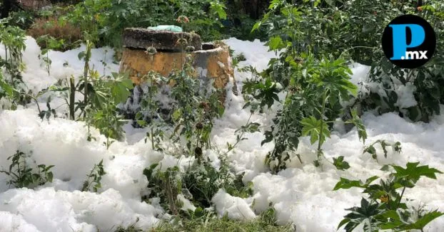 Puebla–Reaparece espuma tóxica en el río Atoyac; colectivos reclaman omisión a Agua de Puebla (El Popular)