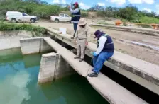 Tamaulipas–Lluvias elevan nivel de las principales presas y mejoran disponibilidad de agua (La Jornada)