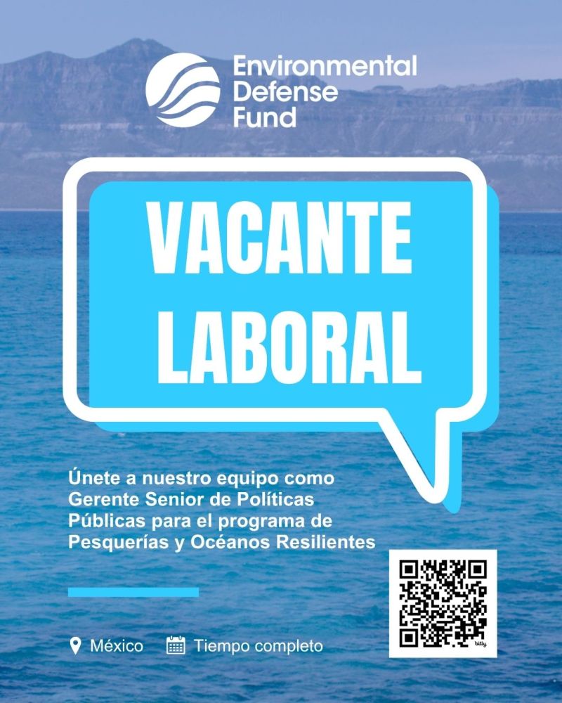 Vacante – Gerente Senior de Política Pública para el programa de Pesquerías y Océanos Resilientes (Environmental Defense Fund en Español)