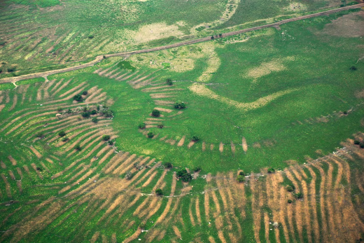Mundo – Una obra hidráulica milenaria, la huella de una civilización prehispánica que domó el agua sin reyes ni caciques (El País)
