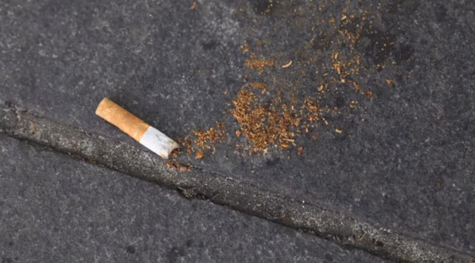 Internacional – Las colillas de cigarrillo contaminan el agua y matan peces: investigan la acción de compuestos tóxicos (Infobae)