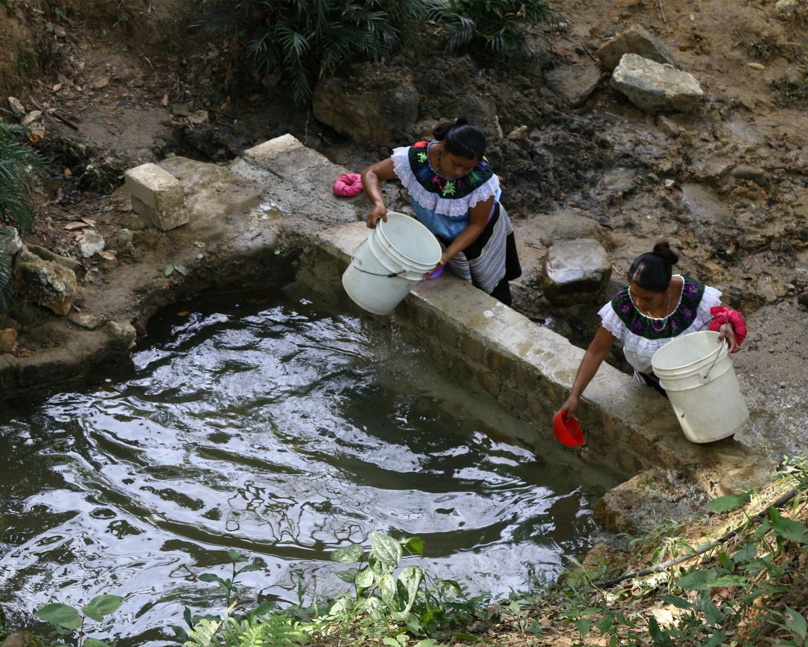 Una de cada tres personas en Chiapas dependen de la gestión comunitaria del agua (Alianzas comunes- Red + Agua)