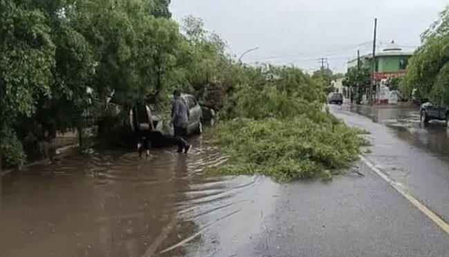 Sonora – Reportan atención a emergencias por lluvias y fallas en infraestructura hidráulica (Diario de Yaqui)