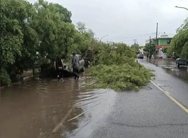 Sonora – Reportan atención a emergencias por lluvias y fallas en infraestructura hidráulica (Diario de Yaqui)