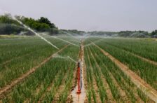Puebla – La gran limitante del campo en Tehuacán es la carencia de agua: Secretaría de Desarrollo Rural (La Jornada de Oriente)