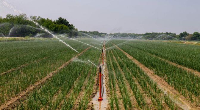 Puebla – La gran limitante del campo en Tehuacán es la carencia de agua: Secretaría de Desarrollo Rural (La Jornada de Oriente)