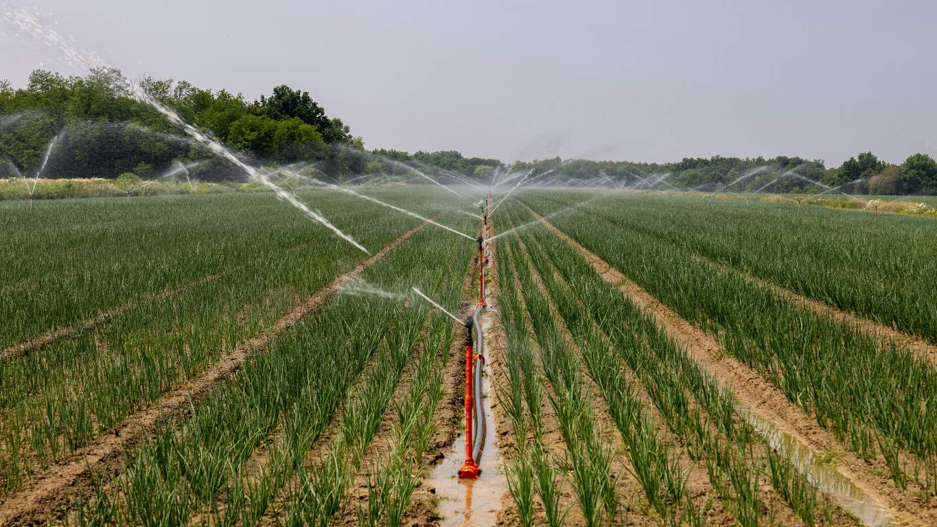 Puebla – La gran limitante del campo en Tehuacán es la carencia de agua: Secretaría de Desarrollo Rural (La Jornada de Oriente)