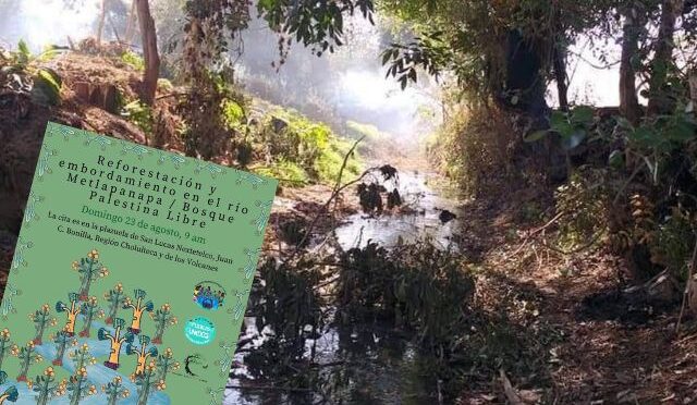 Puebla – Pueblos alistan recuperación del río Metlapanapa con reforestación en Juan C. Bonilla (E-consulta)