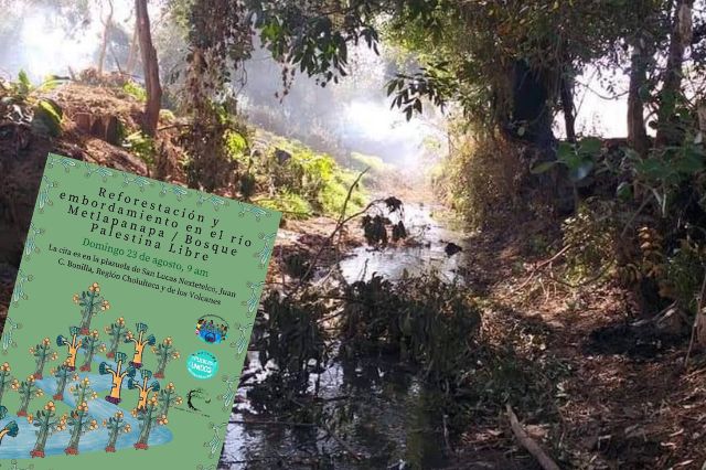 Puebla – Pueblos alistan recuperación del río Metlapanapa con reforestación en Juan C. Bonilla (E-consulta)