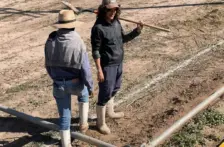Sinaloa – El agua no basta: productores exigen financiamiento para reactivar el campo sinaloense