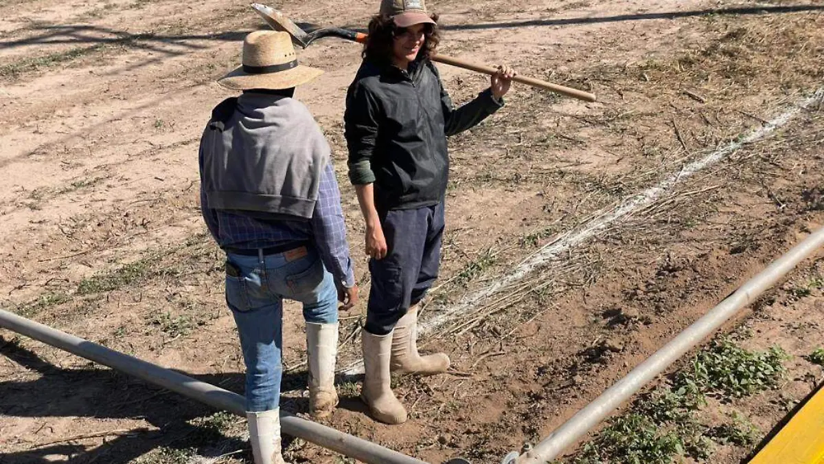 Sinaloa – El agua no basta: productores exigen financiamiento para reactivar el campo sinaloense