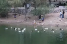 Sonora – Bosques urbanos y captación de agua de lluvia, estrategias para combatir el calor en Hermosillo (El Sol de Hermosillo)