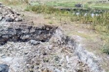 Querétaro – Concluye retiro de peces muertos en El Batán; continúa investigación por contaminación (Diario de Querétaro)