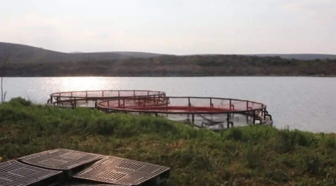 Hidalgo – Presa El Yathe, dota de agua a 3 comunidades sin embargo sigue sin ser inaugurada (El Sol de Hidalgo)