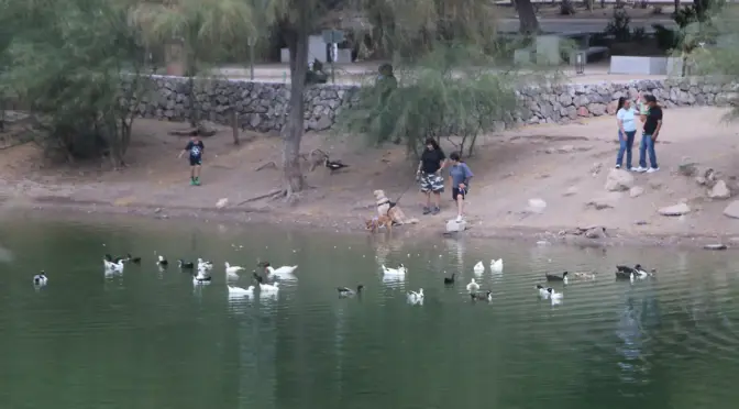 Sonora – Bosques urbanos y captación de agua de lluvia, estrategias para combatir el calor en Hermosillo (El Sol de Hermosillo)