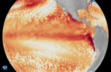 Internacional – “Desiertos verdes” bajo el agua: la imagen satelital de la NASA que muestra el efecto de El Niño en el Océano Pacífico (El Universo)