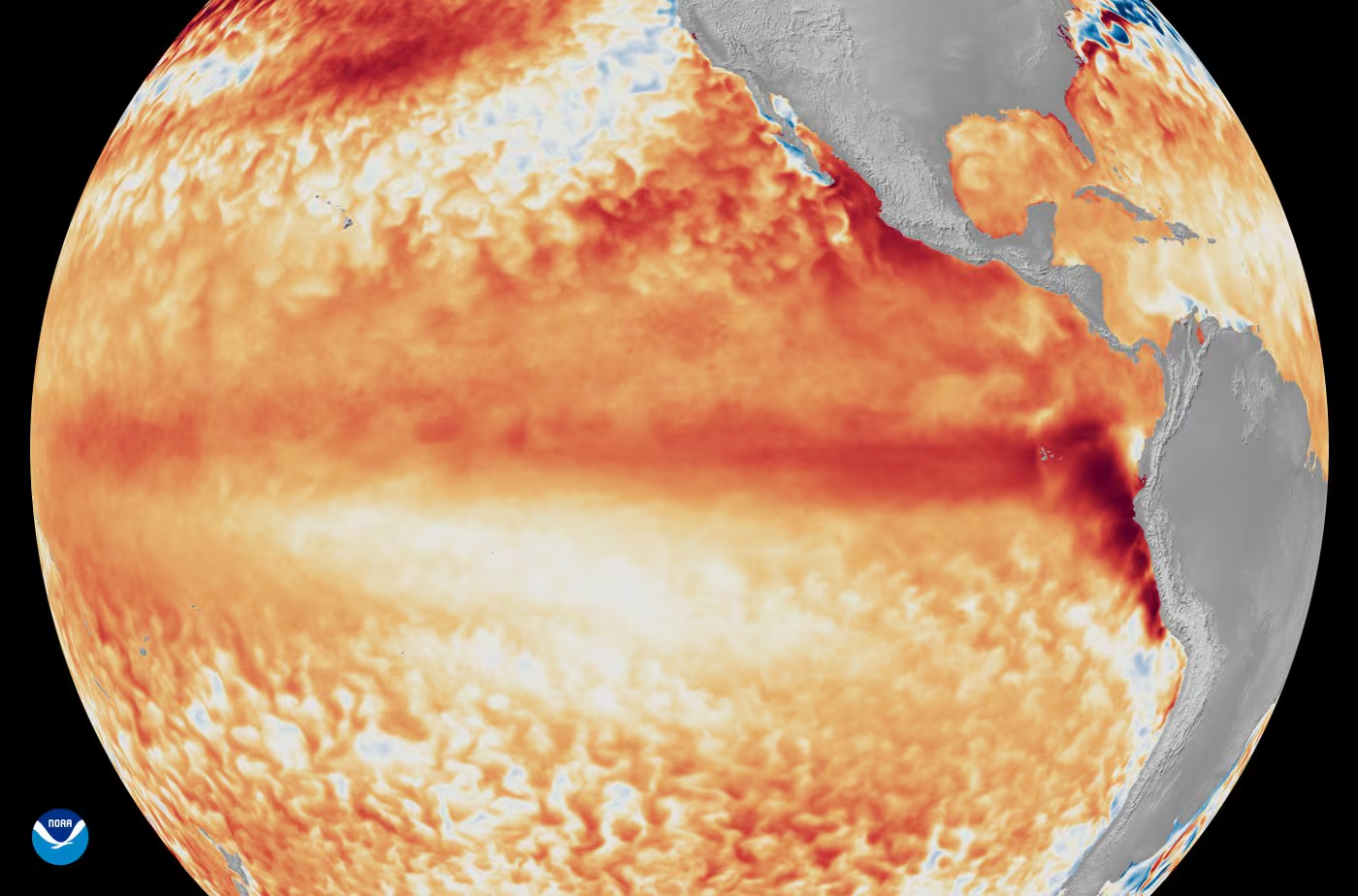 Internacional – “Desiertos verdes” bajo el agua: la imagen satelital de la NASA que muestra el efecto de El Niño en el Océano Pacífico (El Universo)
