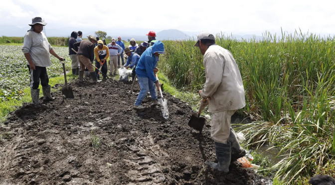 Estado de México – Temen otra inundación en las Ciénegas de Lerma: vecinos reparan bordo (El Sol de Toluca)
