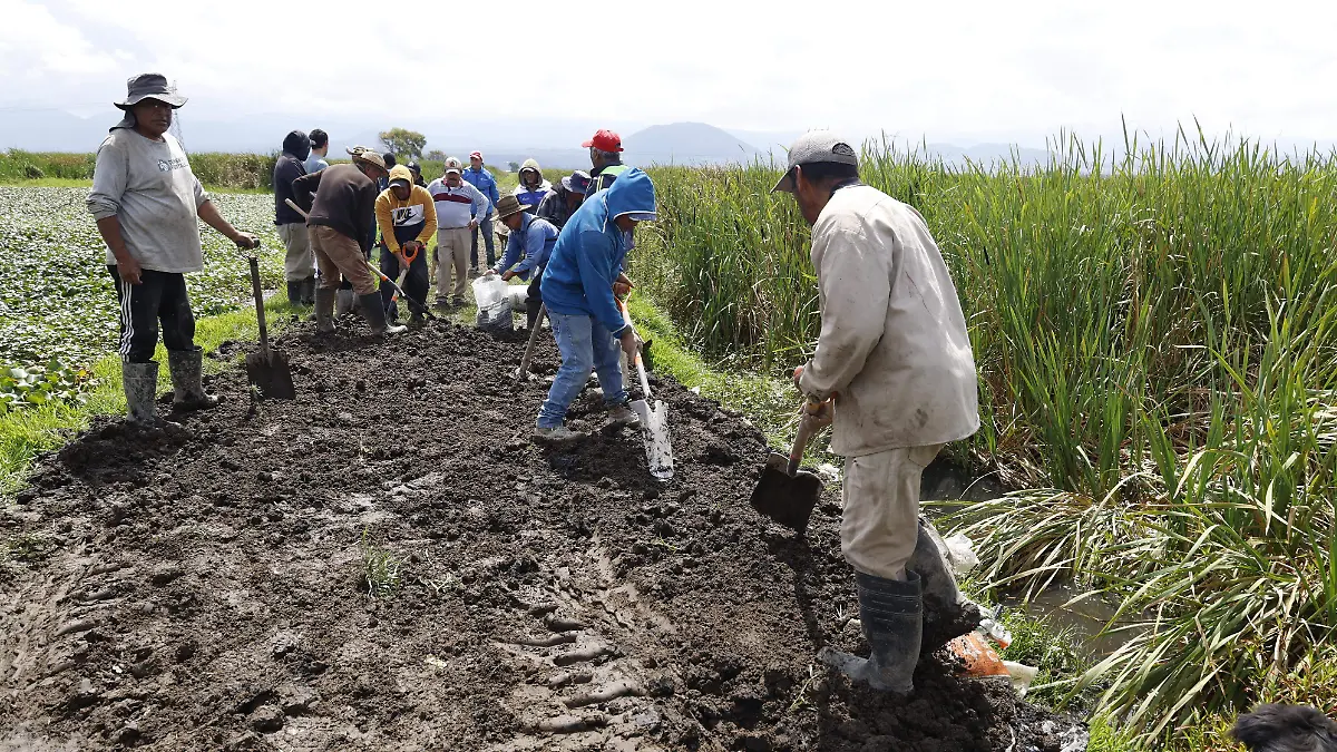 Estado de México – Temen otra inundación en las Ciénegas de Lerma: vecinos reparan bordo (El Sol de Toluca)