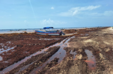 Quintana Roo – Playa del Carmen y Tulum concentran los mayores niveles de contaminación hídrica: Centinelas del Agua (La Jornada Maya)