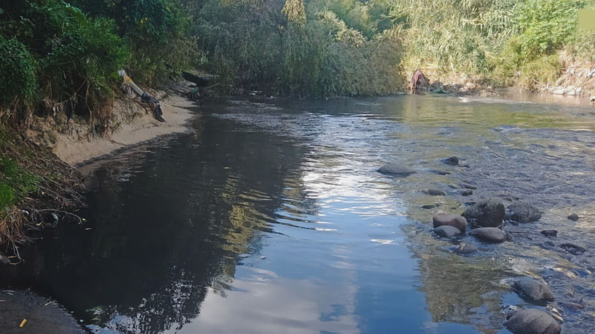 Puebla – Profepa clausura descarga del sistema operador de aguas residuales de Cuautlancingo al Río Atoyac (N+)