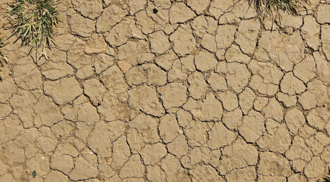 Mundo – El agua grita: nos está pidiendo que cambiemos (Slow Food)