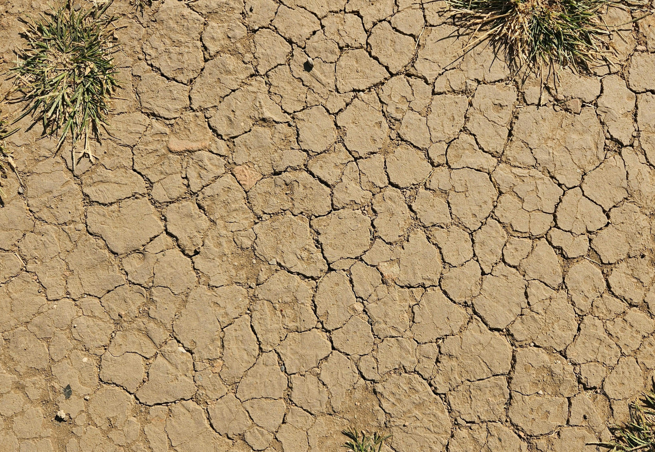 Mundo – El agua grita: nos está pidiendo que cambiemos (Slow Food)