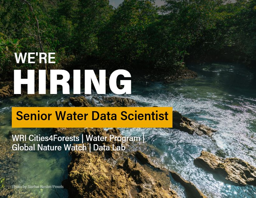 Vacante – Senior Water Data Scientist (World Resources Institute)