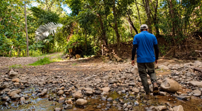Mundo – La producción de agua para 700,000 costarricenses podría caer hasta 45% por los efectos de El Niño (Infobae)