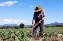 México – Sequía y falta de agua ponen presión sobre la producción agrícola en México (Reto Diario)