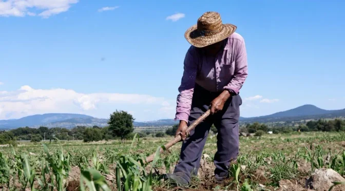 México – Sequía y falta de agua ponen presión sobre la producción agrícola en México (Reto Diario)