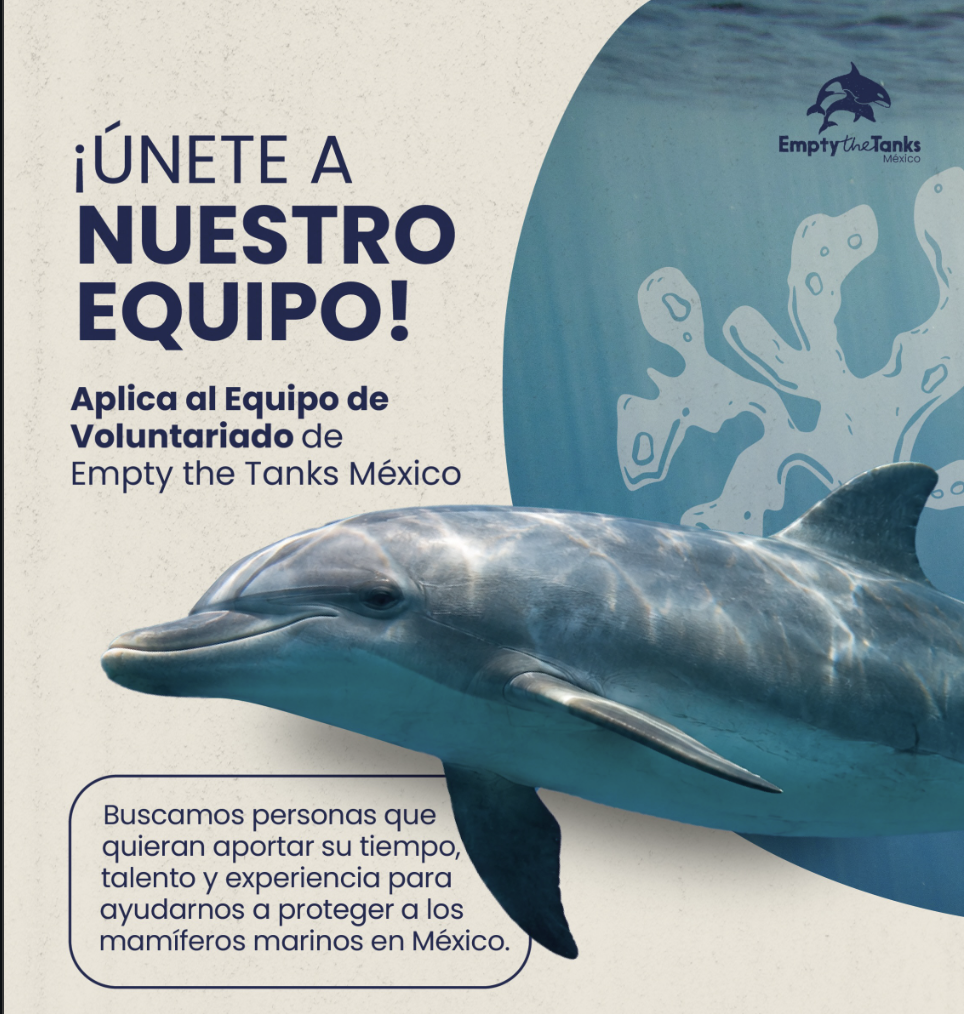 Voluntariado – Convocatoria para formar parte del equipo de Empty the Tanks México (Empty the Tanks México)
