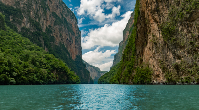 México – Pueblos indígenas de Campeche exigen cumplir sentencia histórica de la Suprema Corte contra plaguicidas que afectan el agua (Infobae)