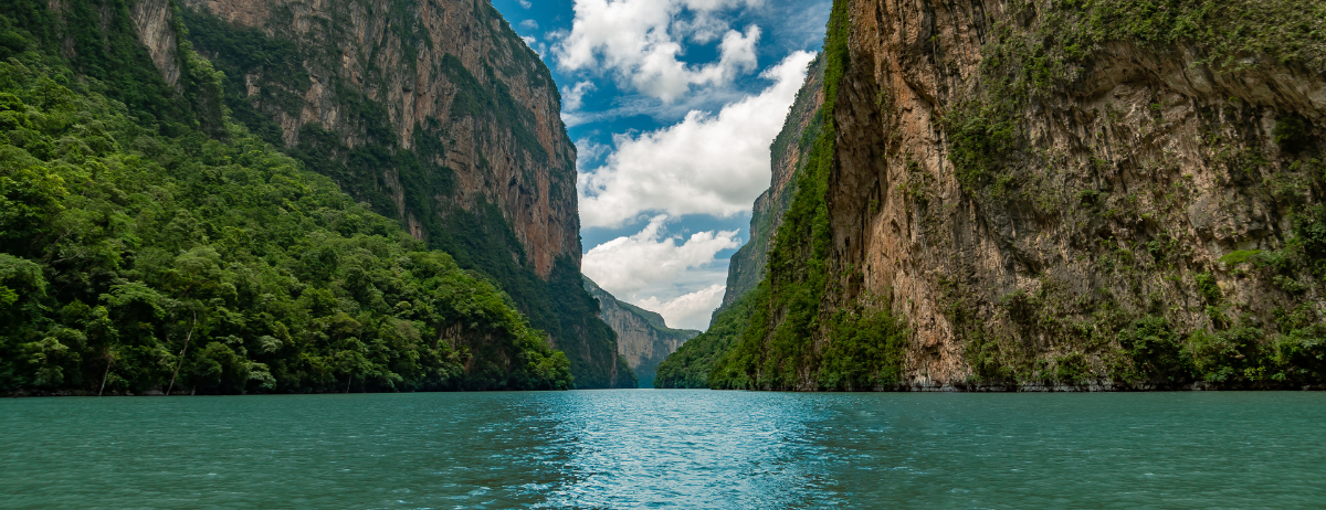 Agua