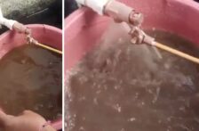 Puebla – Llega agua sucia a colonias de Huauchinango tras semanas de escasez (La Jornada de Oriente)